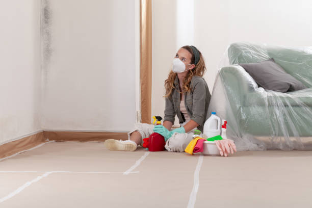 Reliable Mold Remediation contractor in Parsippany, NJ by WQB Mold Removal